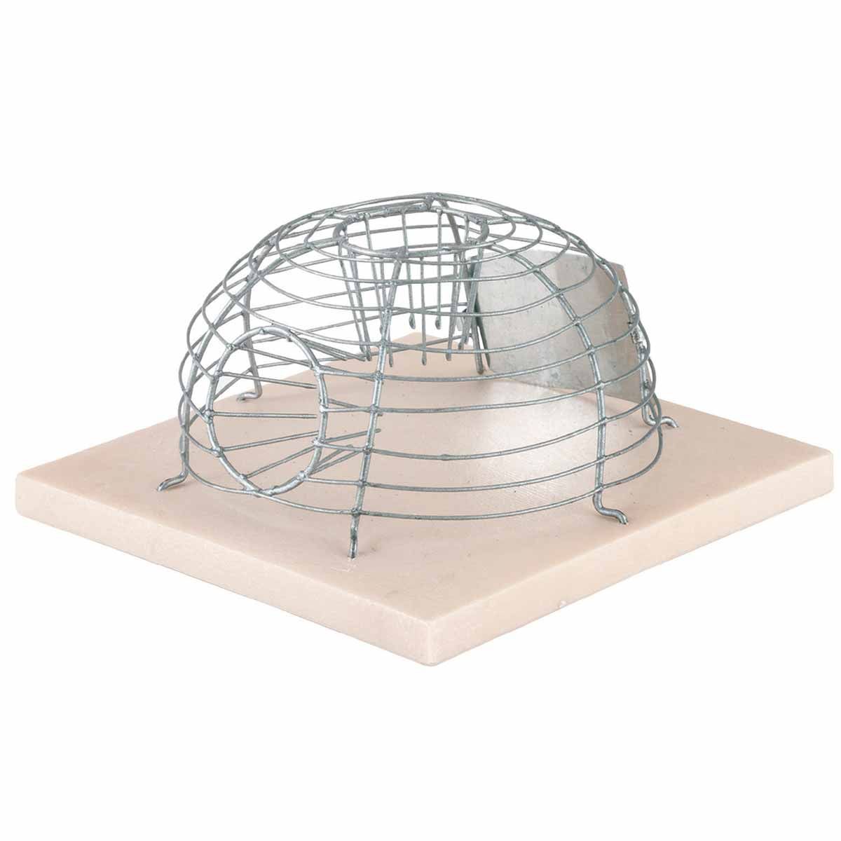 Corbeille de capture à souris