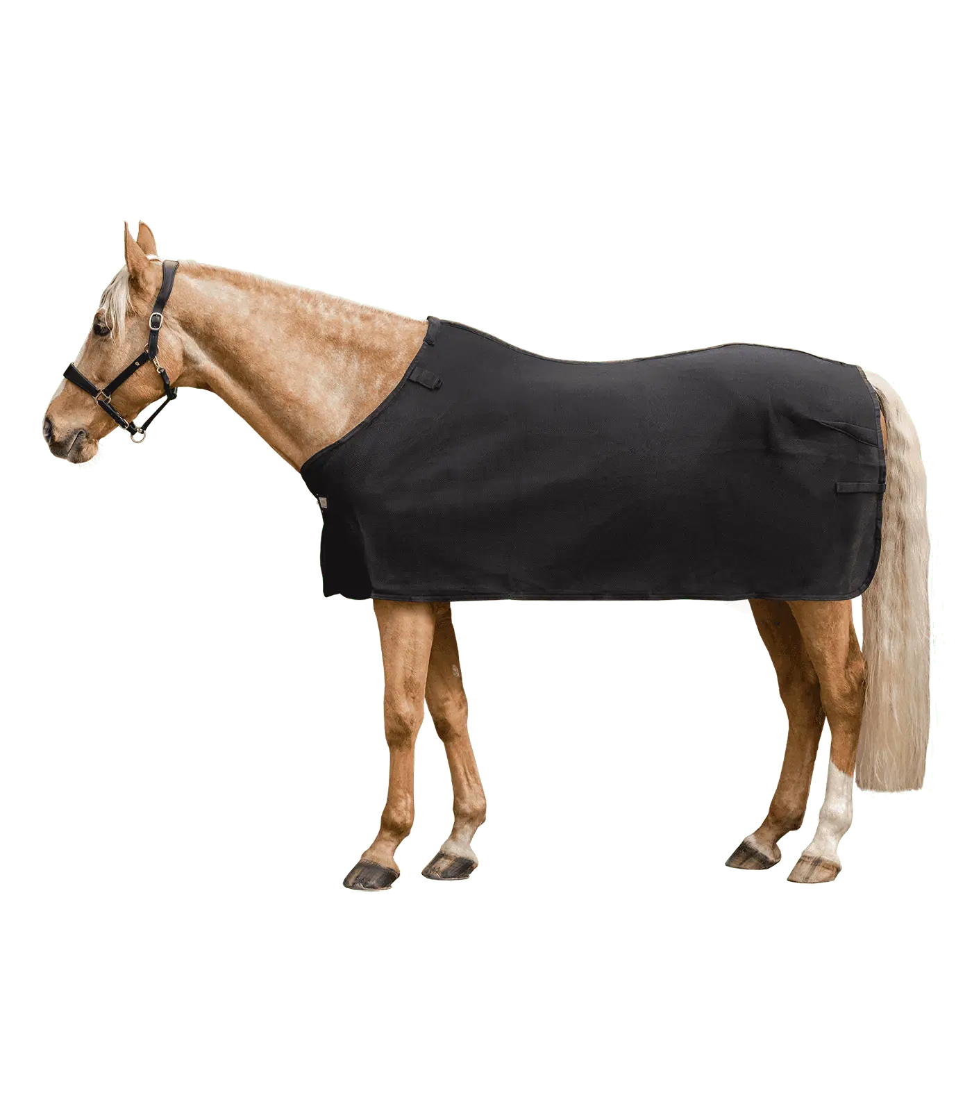 Waldhausen Air Mesh Unterdecke für Pferde, atmungsaktiv, schwarz, 135 cm