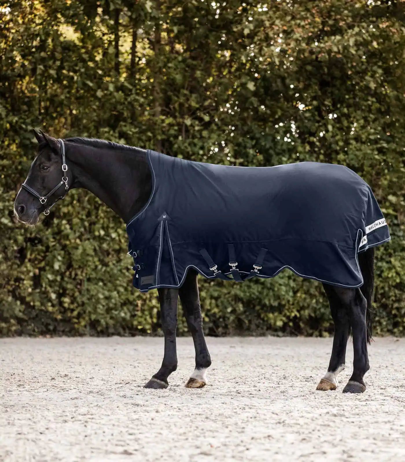 Waldhausen Couverture d'extérieur SCANDIC, High Neck, 100 g, 135 cm, bleu nuit
