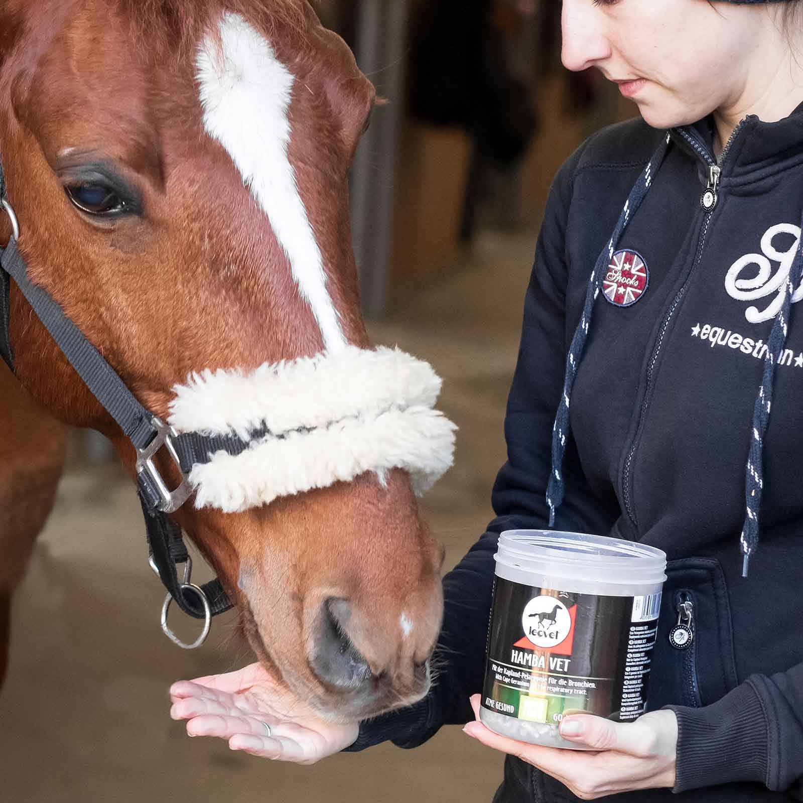 leovet Hamba-Vet Integratore alimentare per cavalli, 700 g, in uso