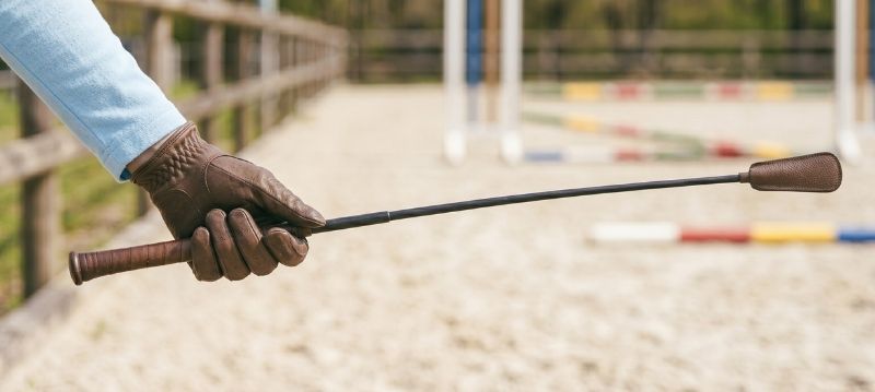 Gerten & Peitschen