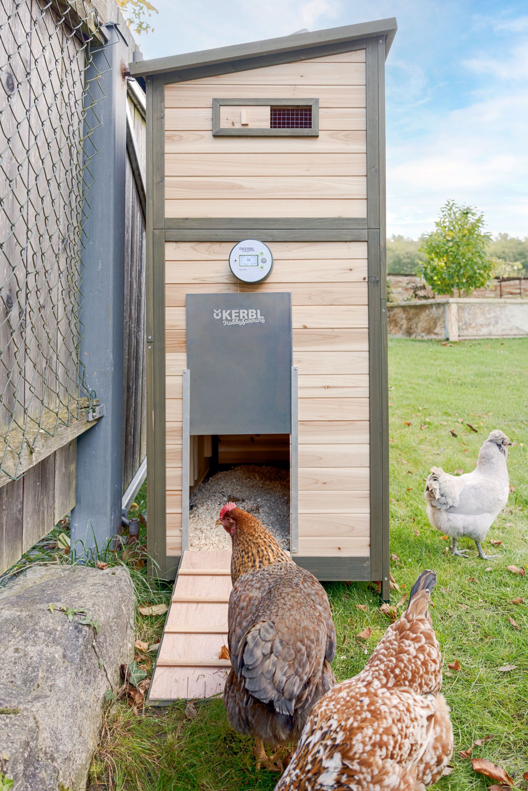 wooden coop, chicken coop, egg monitor, roosting box, rooster hens