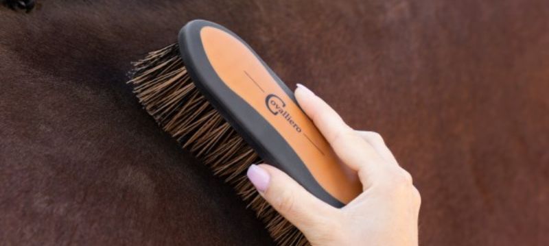 Covalliero Horse Care