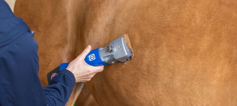 Tondeuse pour chevaux Aesculap