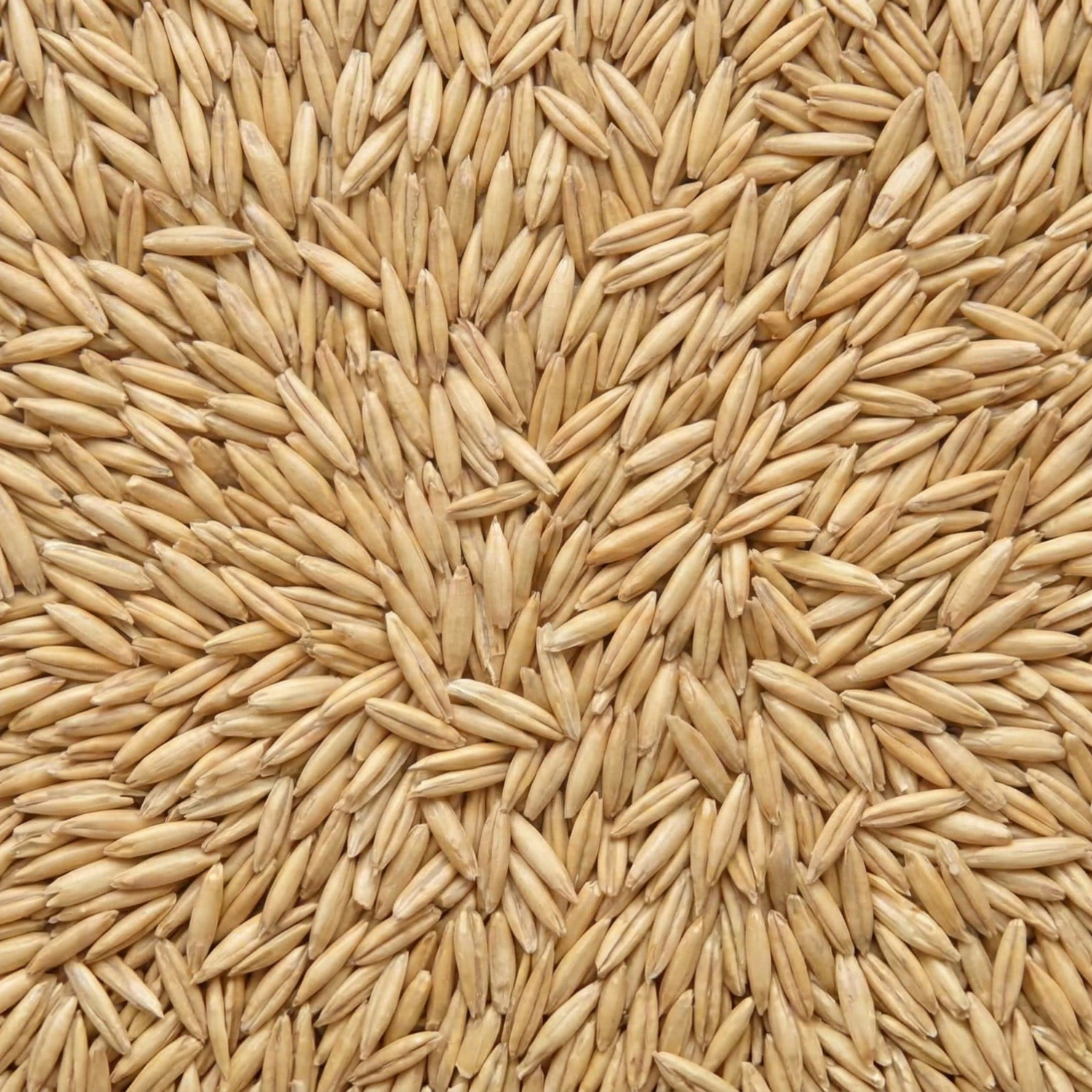 Agrarzone Bio zab 20 kg