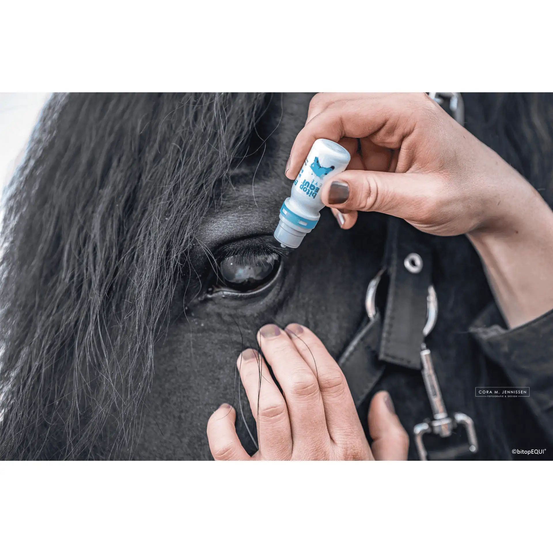 bitop Equi EYE Drops Picături Oftalmice pentru Cai, 10 ml, în utilizare, în mână