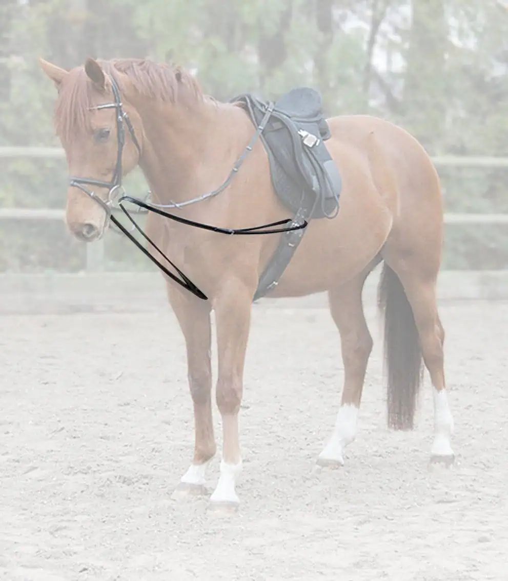 Waldhausen X-Line Rênes viennoises une pièce, forme Y, WB