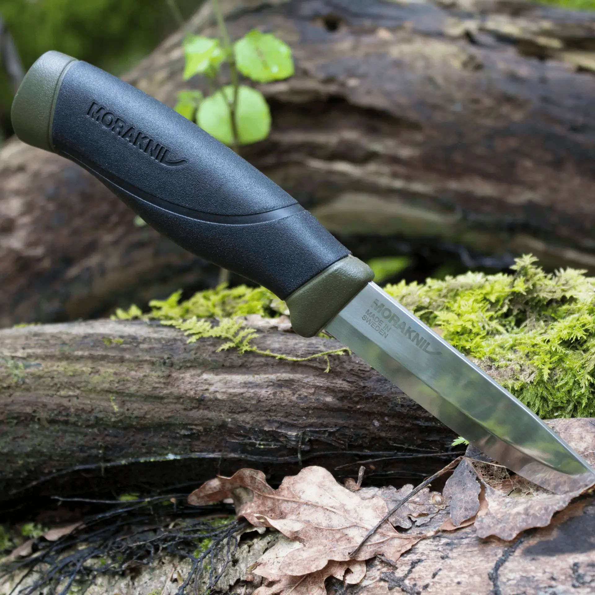 Morakniv Coltello Companion, Lama fissa in acciaio carbonio, in uso