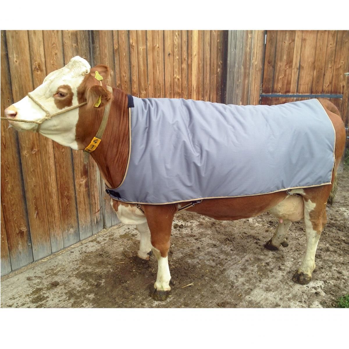 Kerbl Couverture pour bovins, protection chauffante, 175 cm
