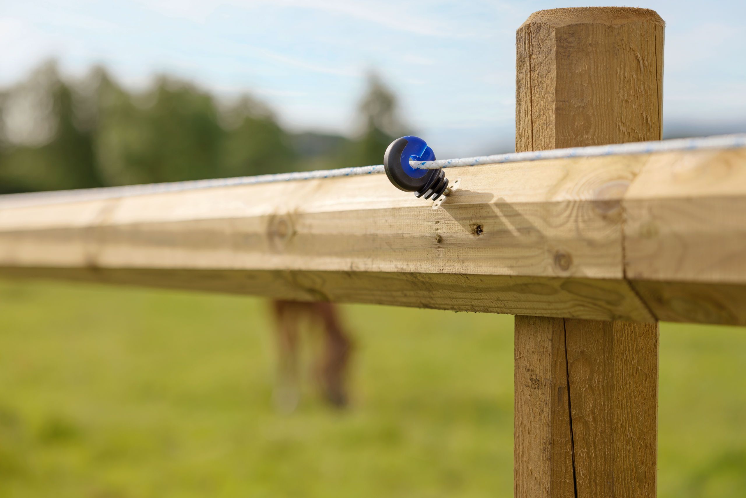 zaun, holz, pfosten, draht, spannvorrichtung