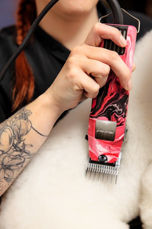 Aesculap Favorita II Tosatrice Professionale per Cani, Rosa, in uso, in mano