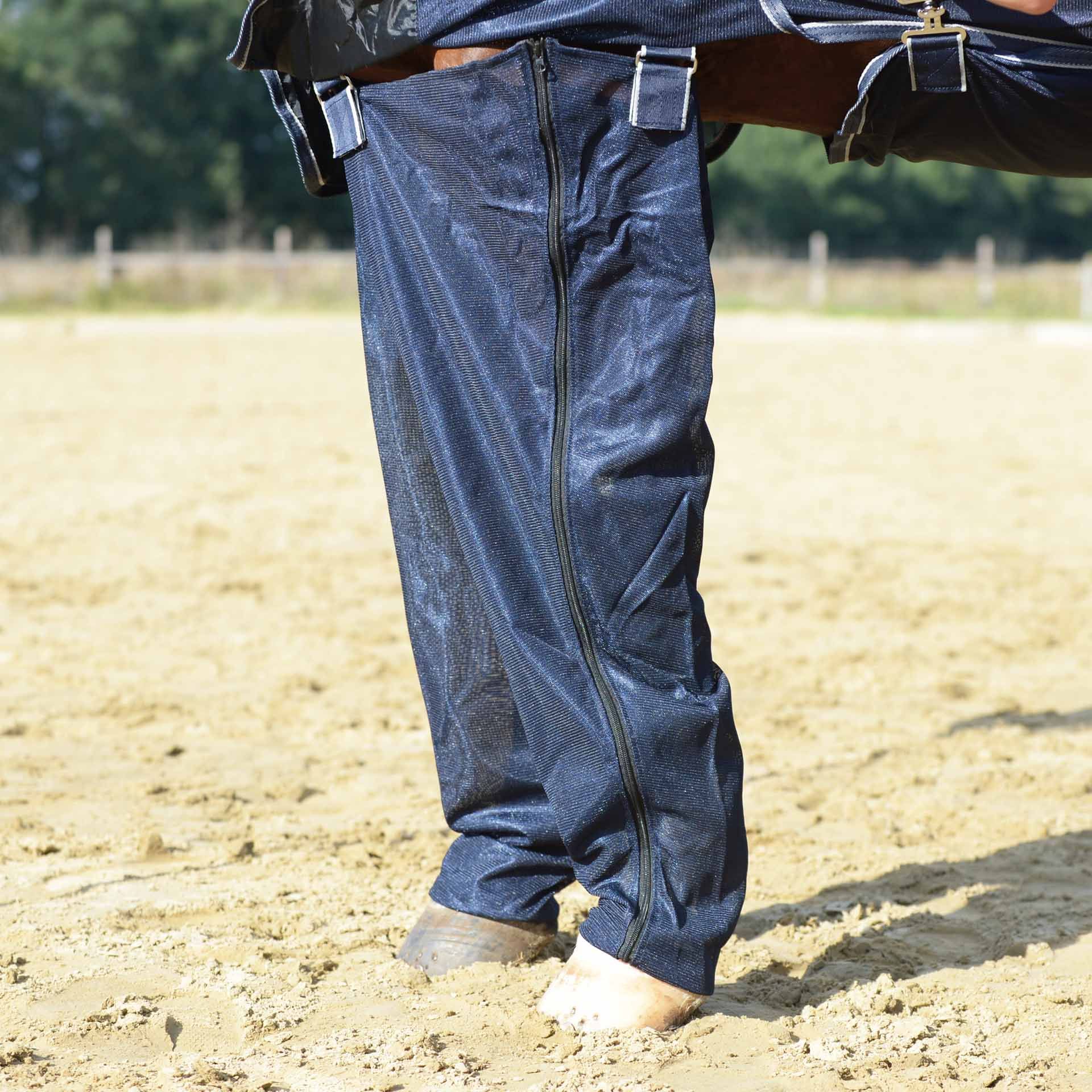 Jambes complete PLUS antérieurs BUSSE