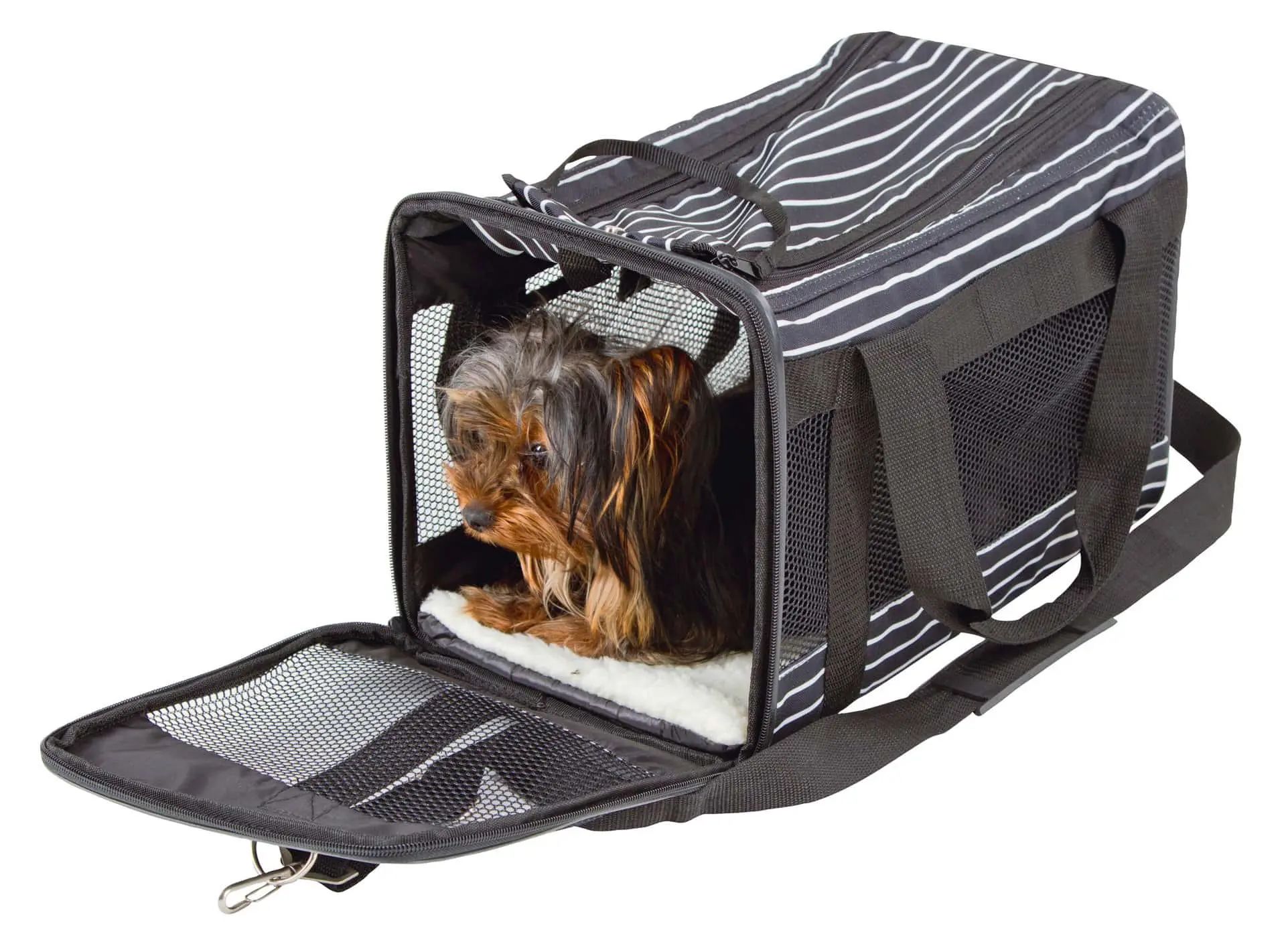 Kerbl Borsa Trasportino Cuba, nero/bianco, 40 x 26 x 28 cm, in uso