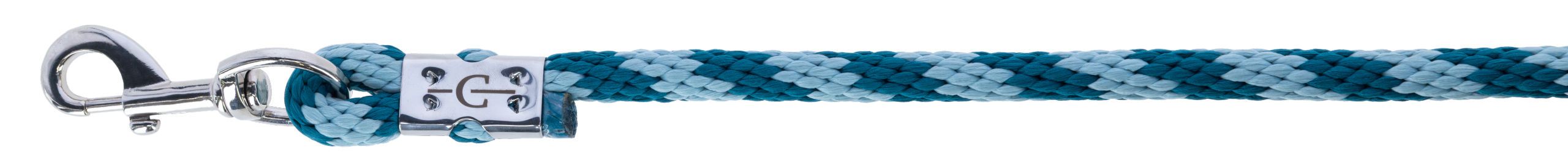 rope, leash, braided, blue, metal clasp