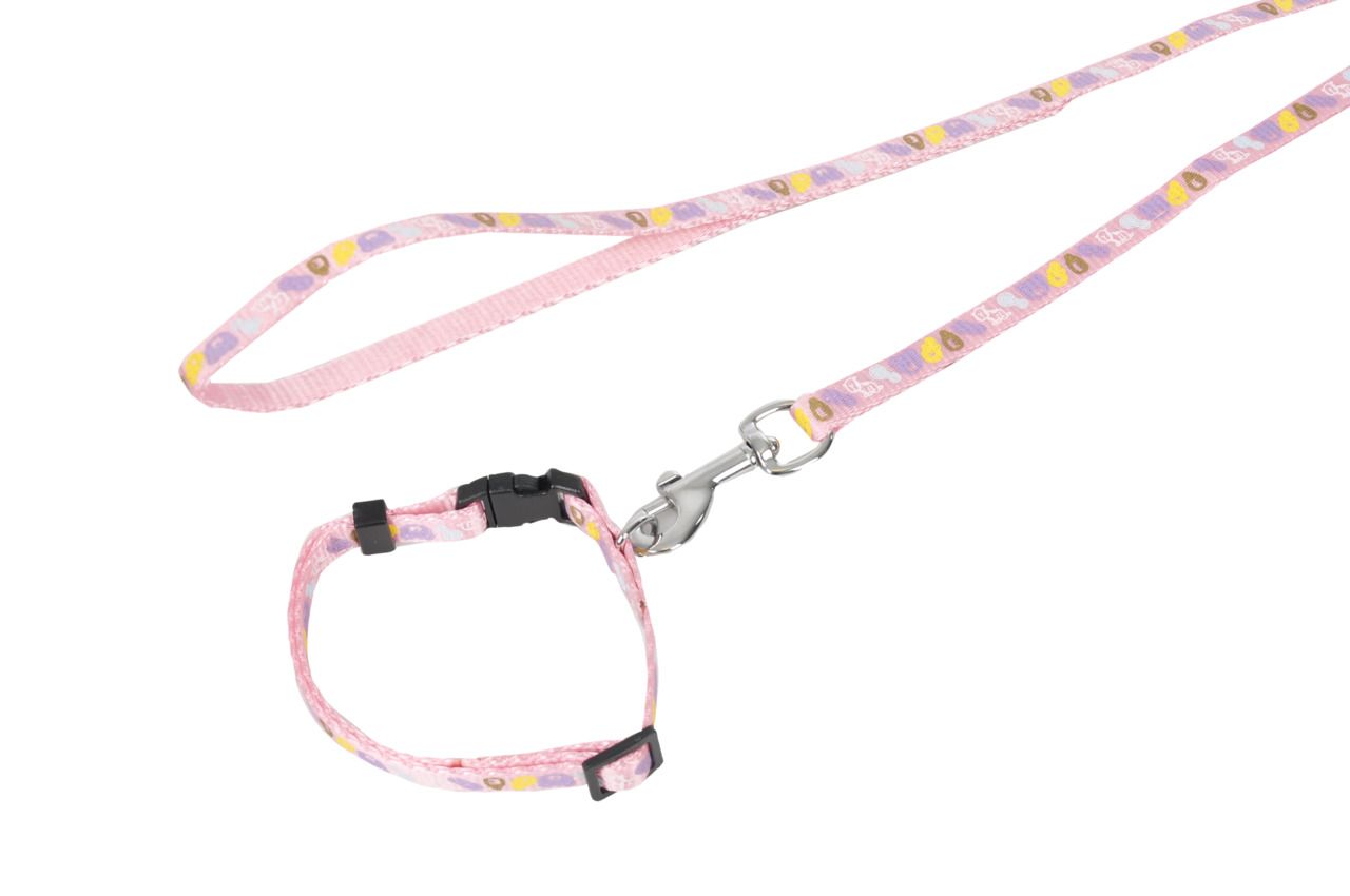 Karlie Ensemble Collier et Laisse CUTE pour Chiot, Réglable, kit