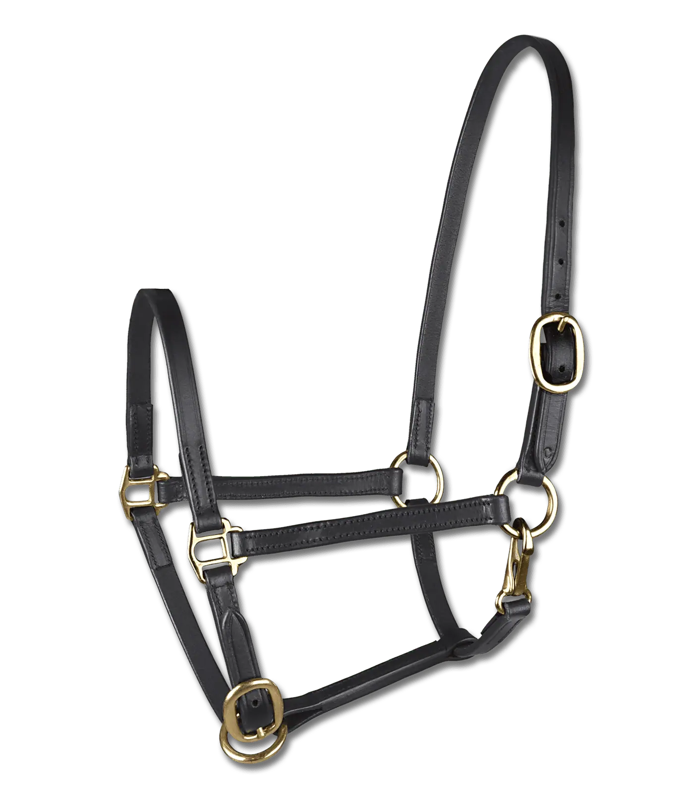 STAR Fohlenvorführhalfter, Leder – feines Halfter mit Karabiner, schwarz Warmblut