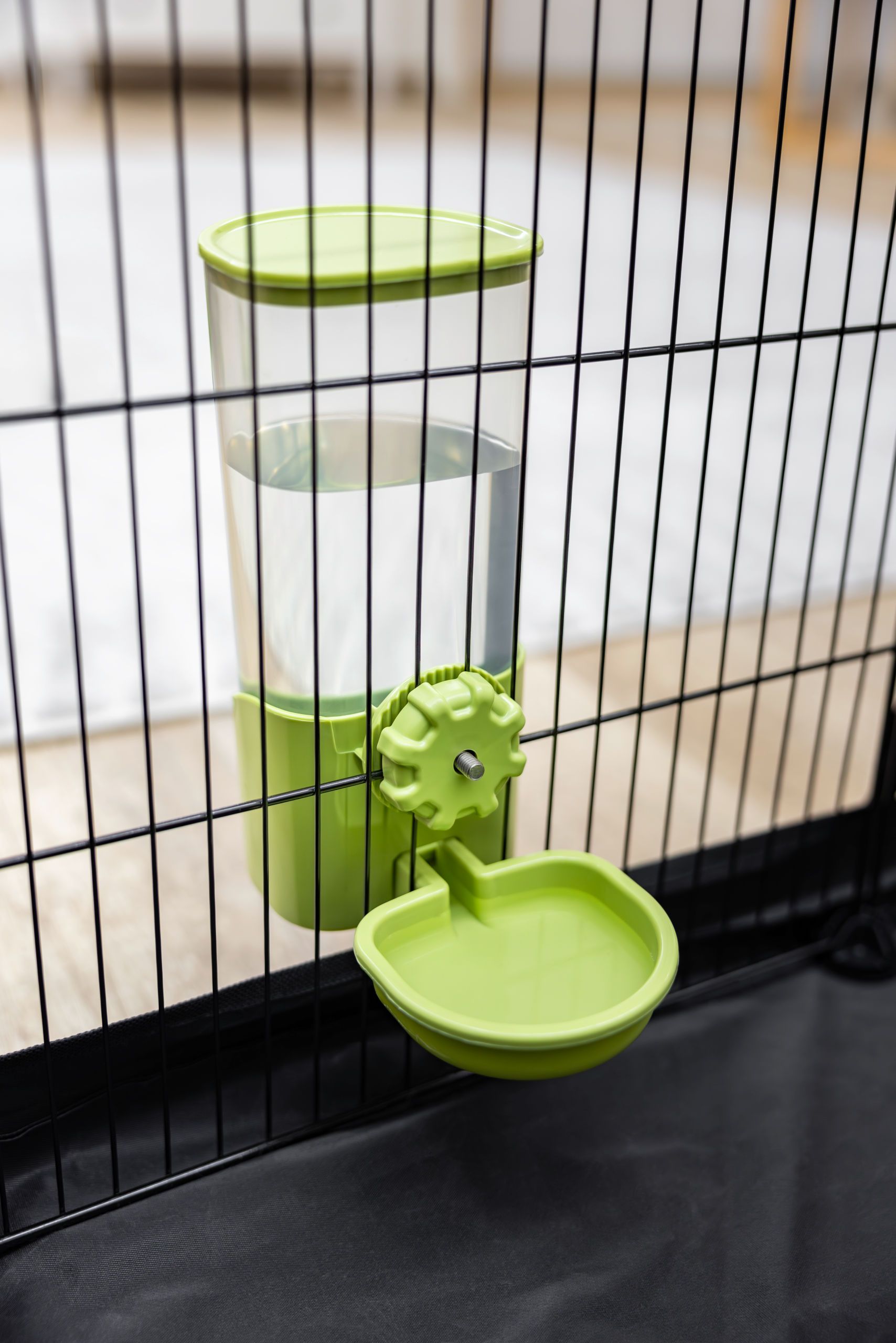 pet feeder, water bottle, cage, green, drinking dish