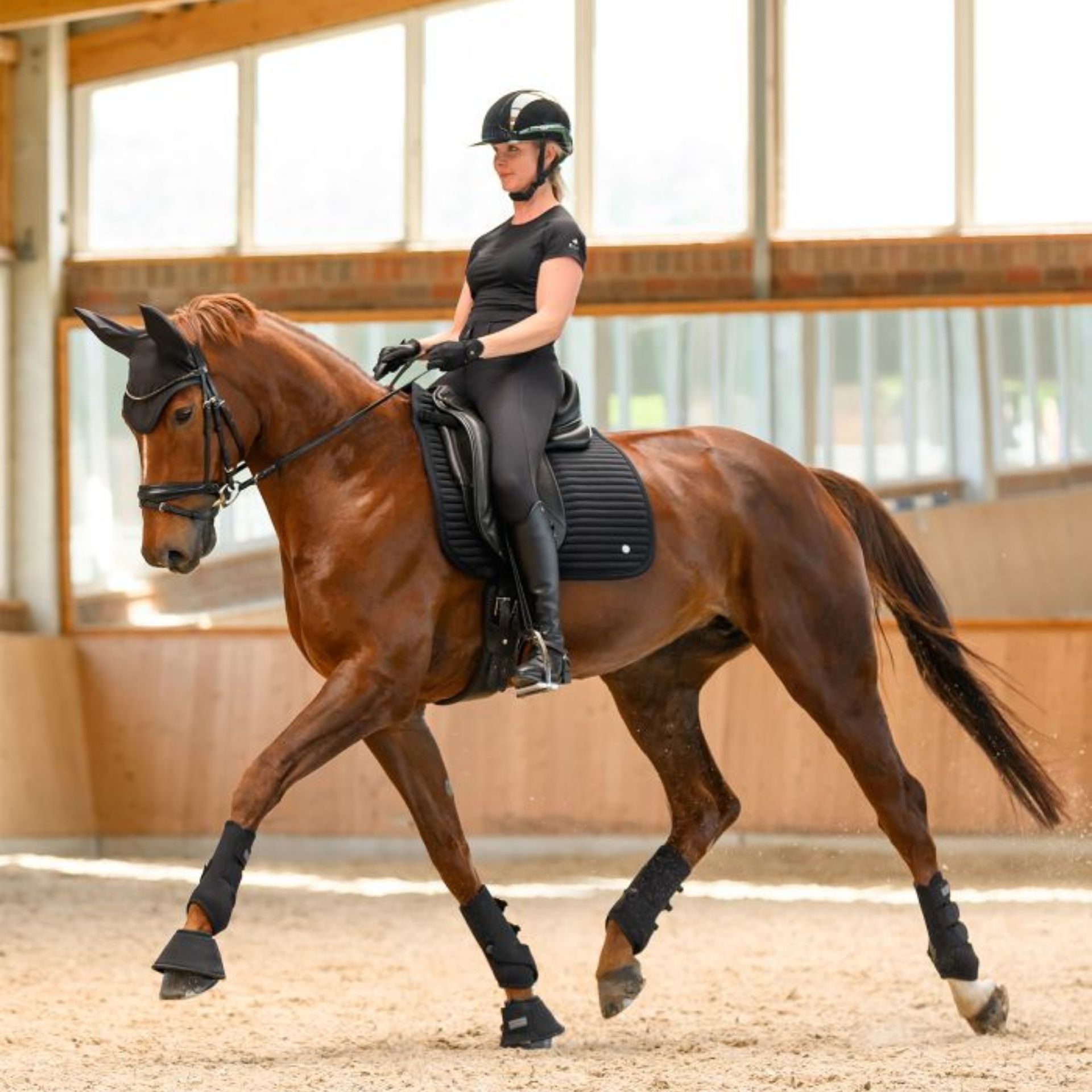 equestrian, riding, horse, saddle, helmet