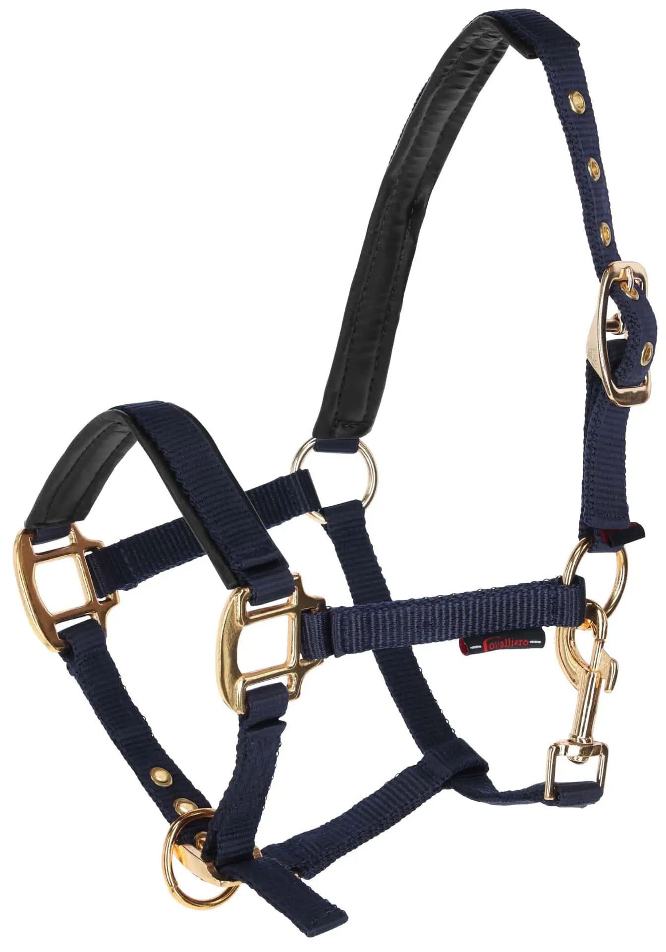 Foal Halter TopLine, navy
