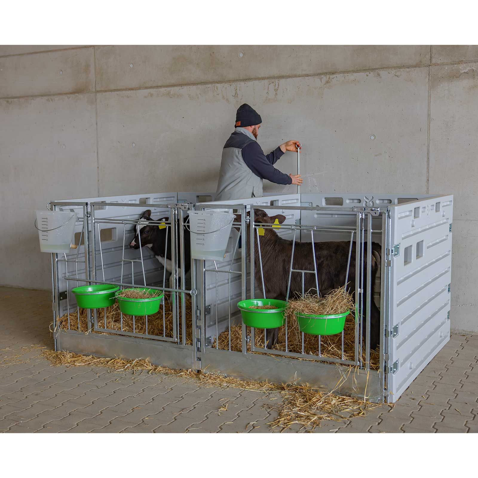 Kerbl Modulare Kälberbox Doppelbucht freistehend, 1,8 qm, im Einsatz, im Stall