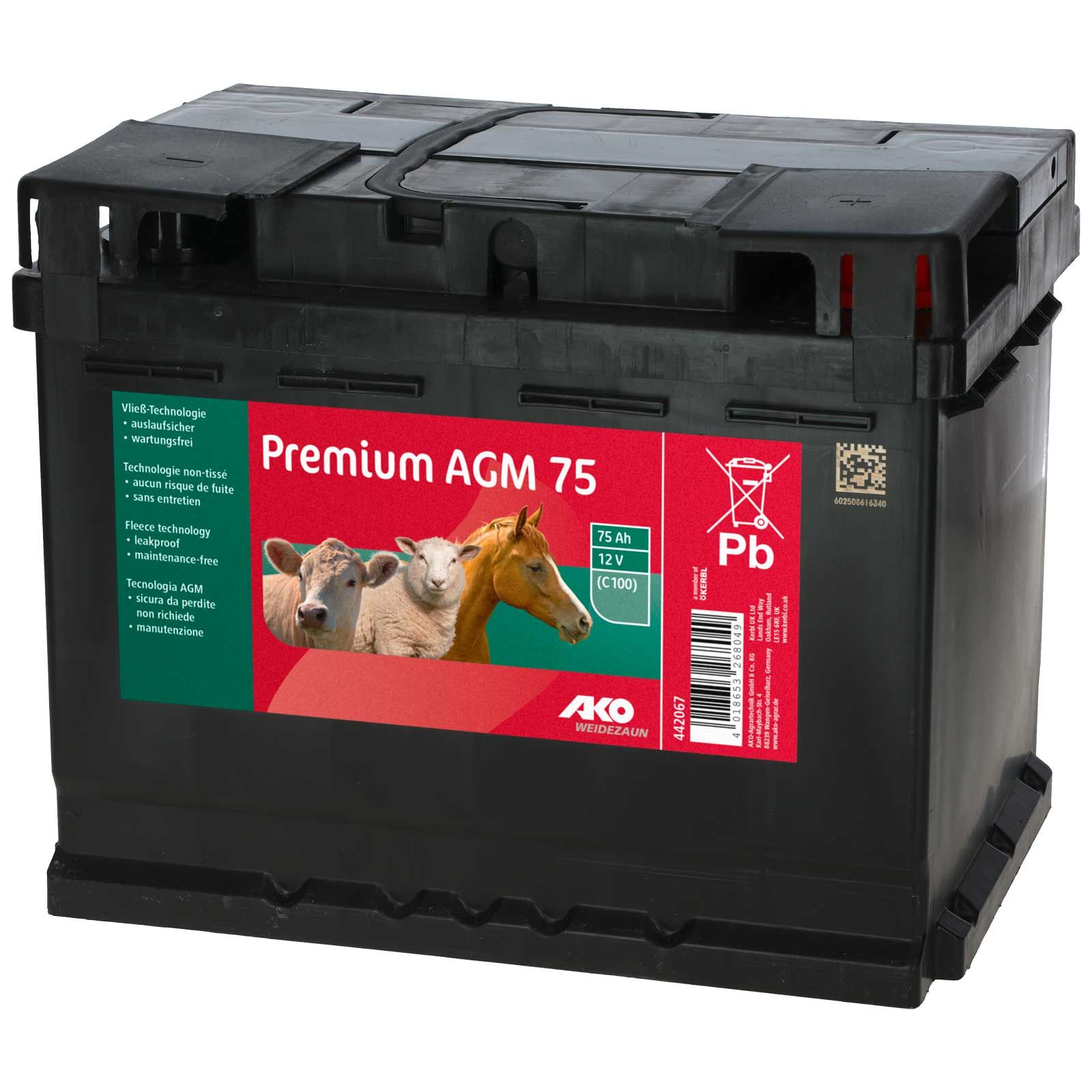 Batterie AGM Premium AKO pour clôture électrique 12V 75Ah