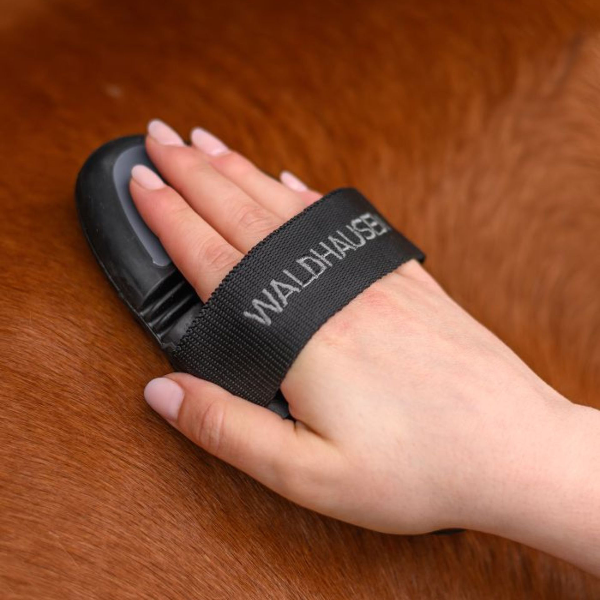 Waldhausen Flex Massage-Striegel für Pferde, sanfte Fellpflege