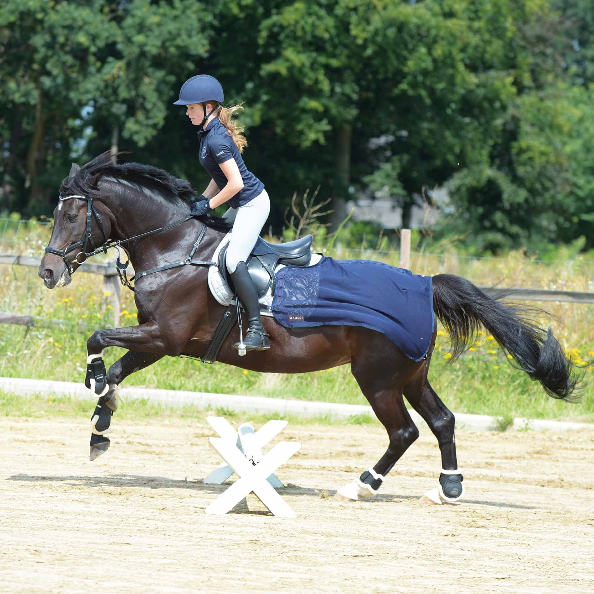 BUSSE Trainingsdecke FLY, Fliegenschutzdecke für Training & Ausritt, navy, 125 cm