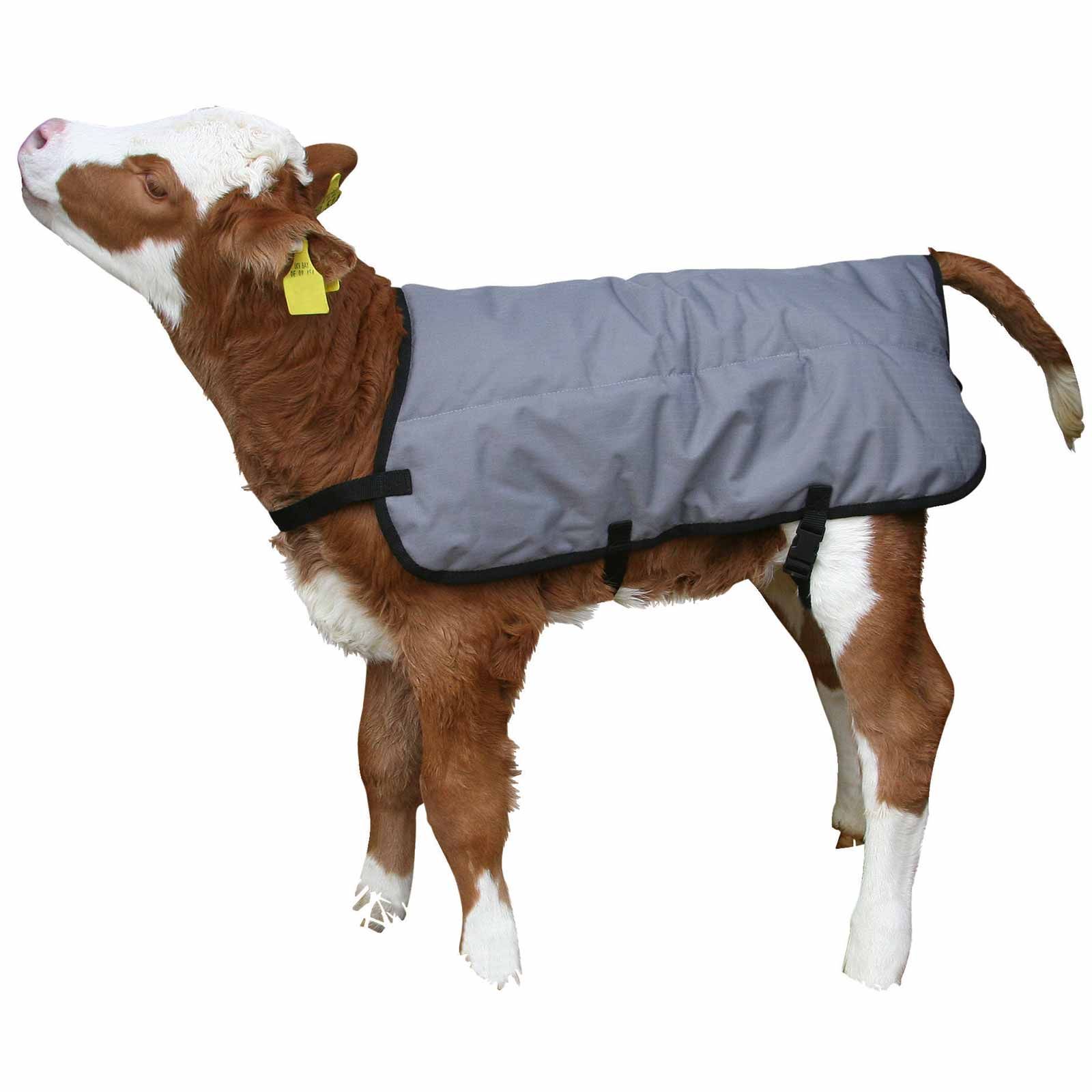 Couverture pour veaux Ripstop Kerbl 70 cm