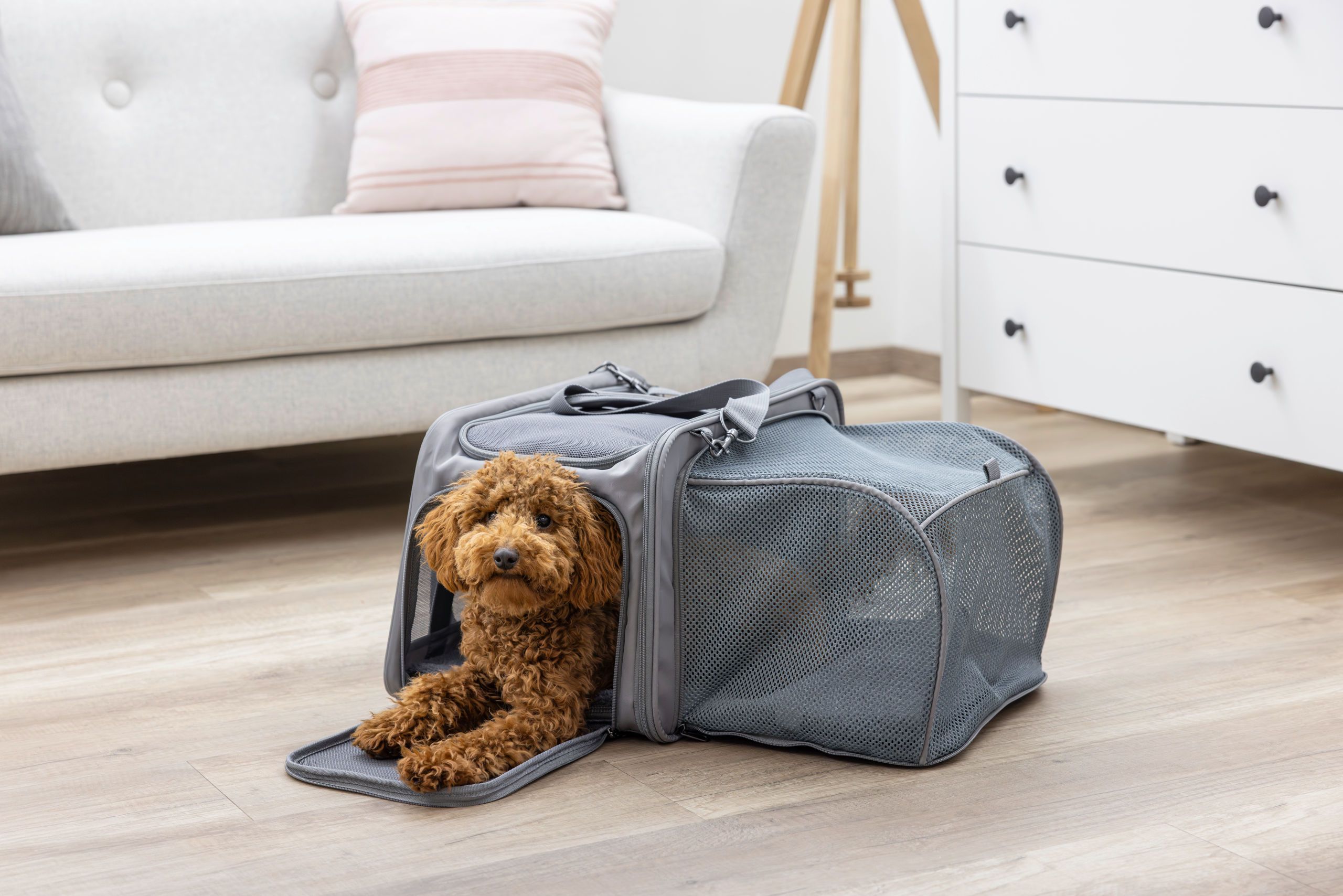 Kerbl Vacation Transporttasche mit Auslauf Hund & Katze, 44x31x30 cm