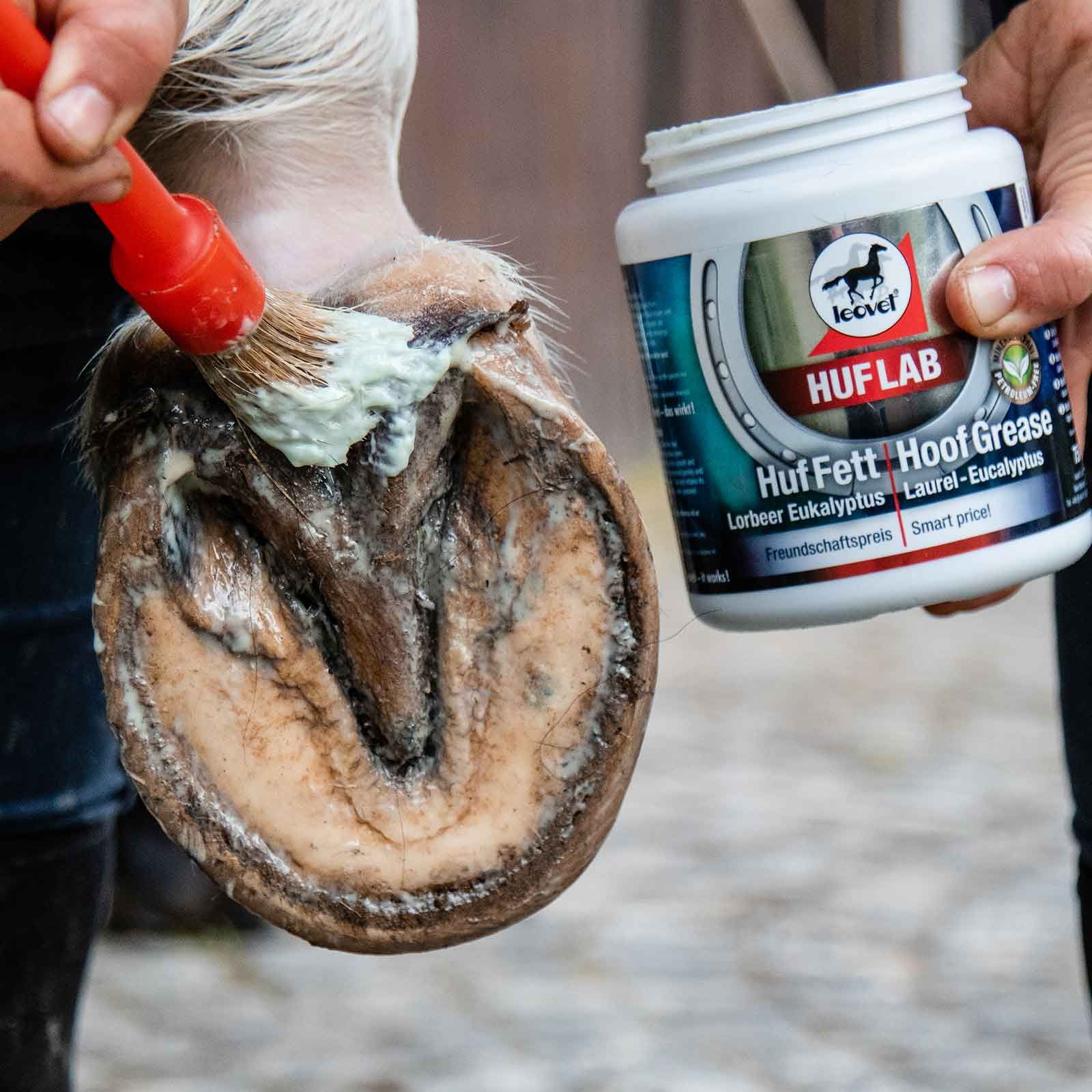 leovet HUFLAB Huffett Pferd Lorbeer, Eukalyptus 750 ml, im Einsatz