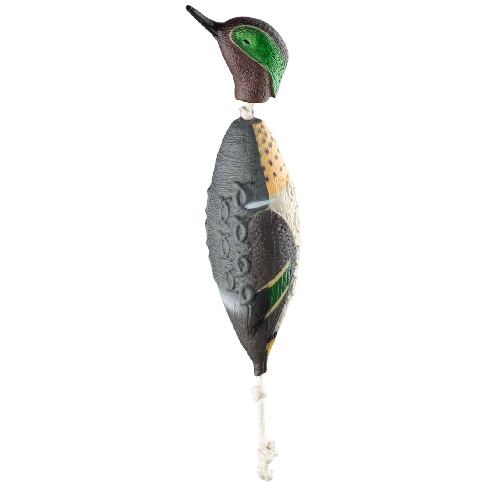 HP&G utbildningsverktyg Green Wing Teal