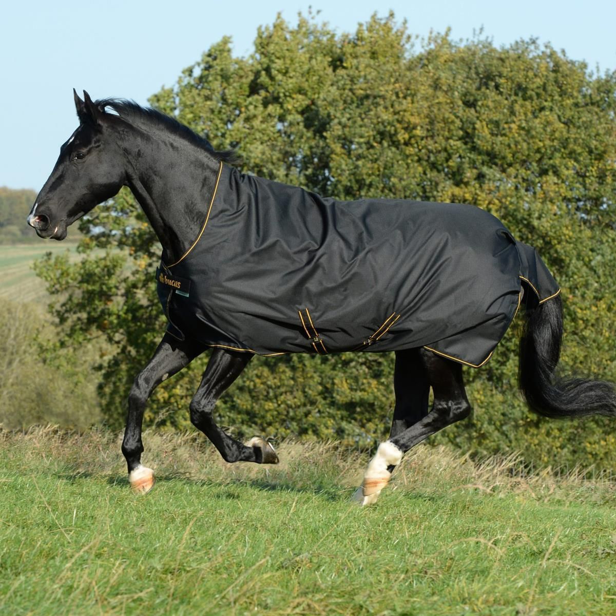 Bucas Irish Turnout Extra Pferdedecke 300g 130