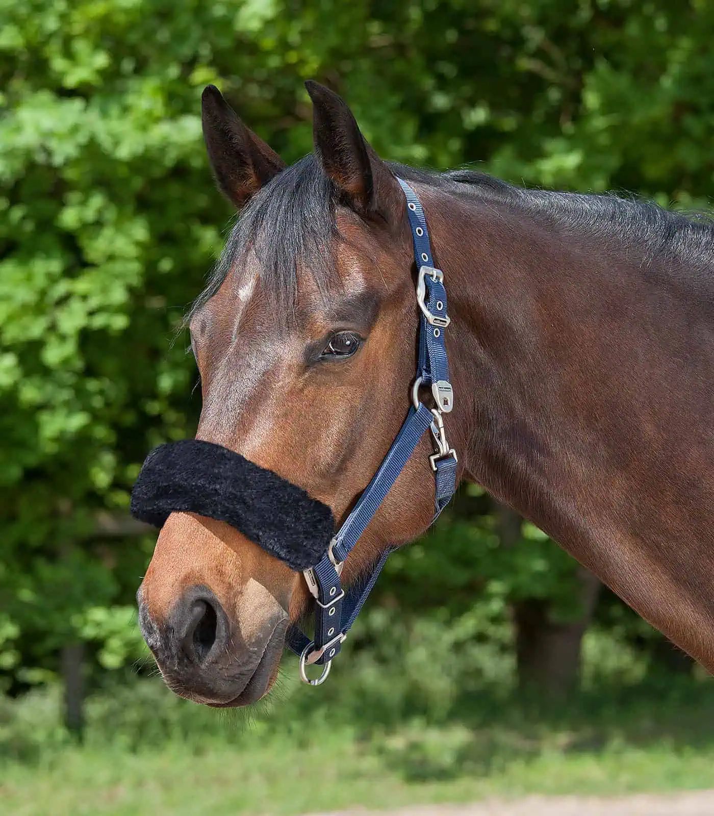 Waldhausen Nasenflauschband, schwarz, 28 cm
