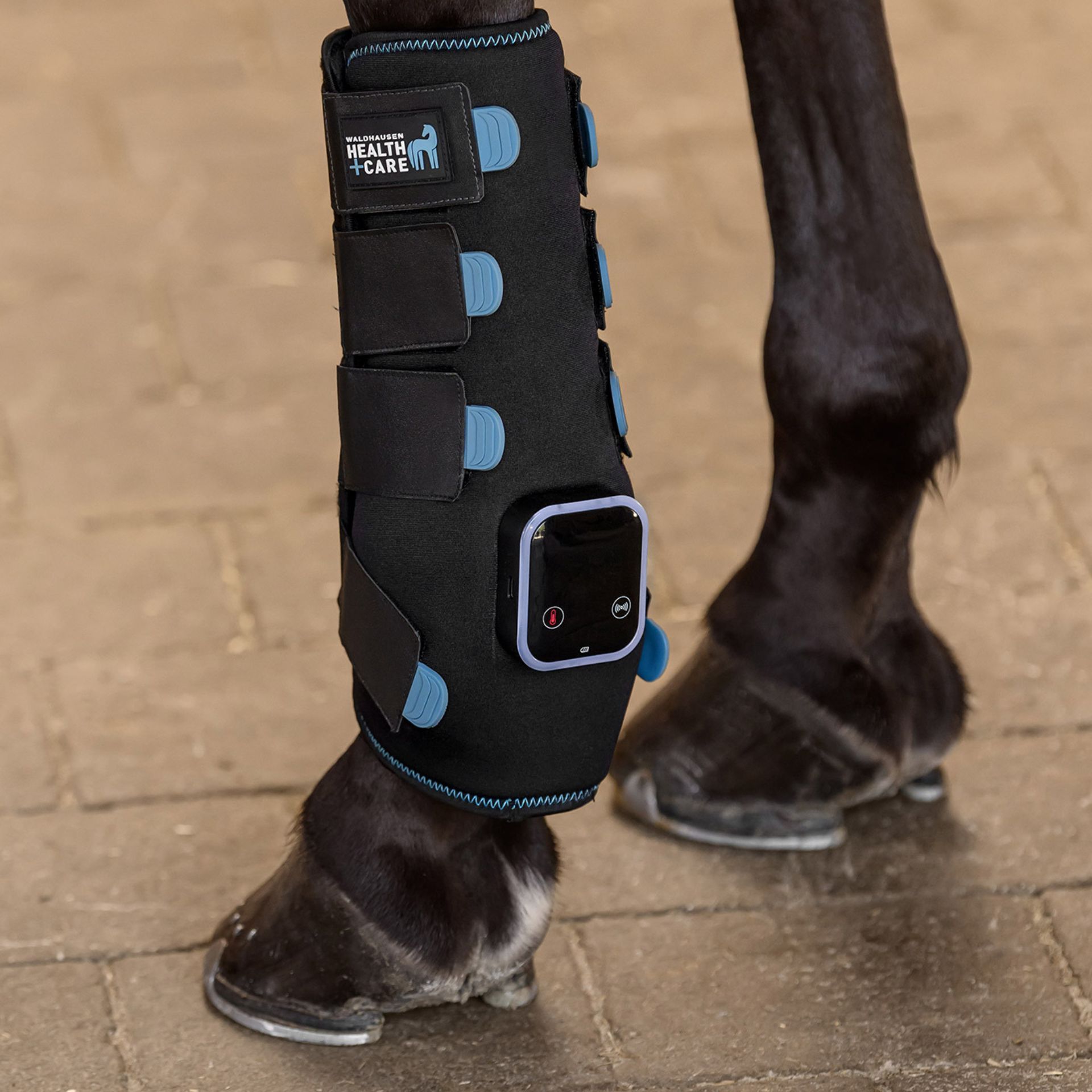 horse boot, leg brace, orthopedic boot, protective boot, anterior support