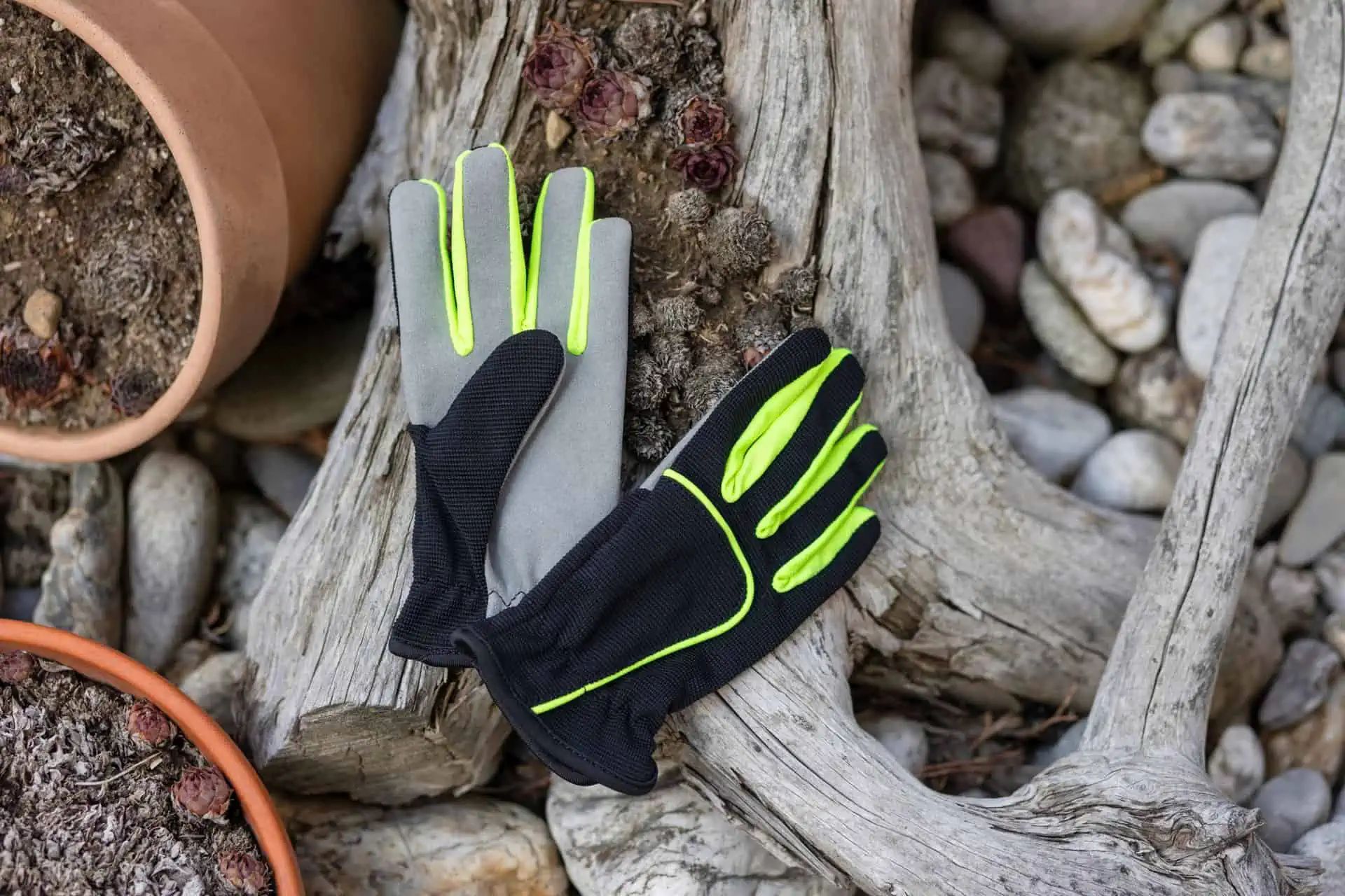 Kerbl Gants pour enfants Joy 8-11 ans manchette ouverte, noir-néon