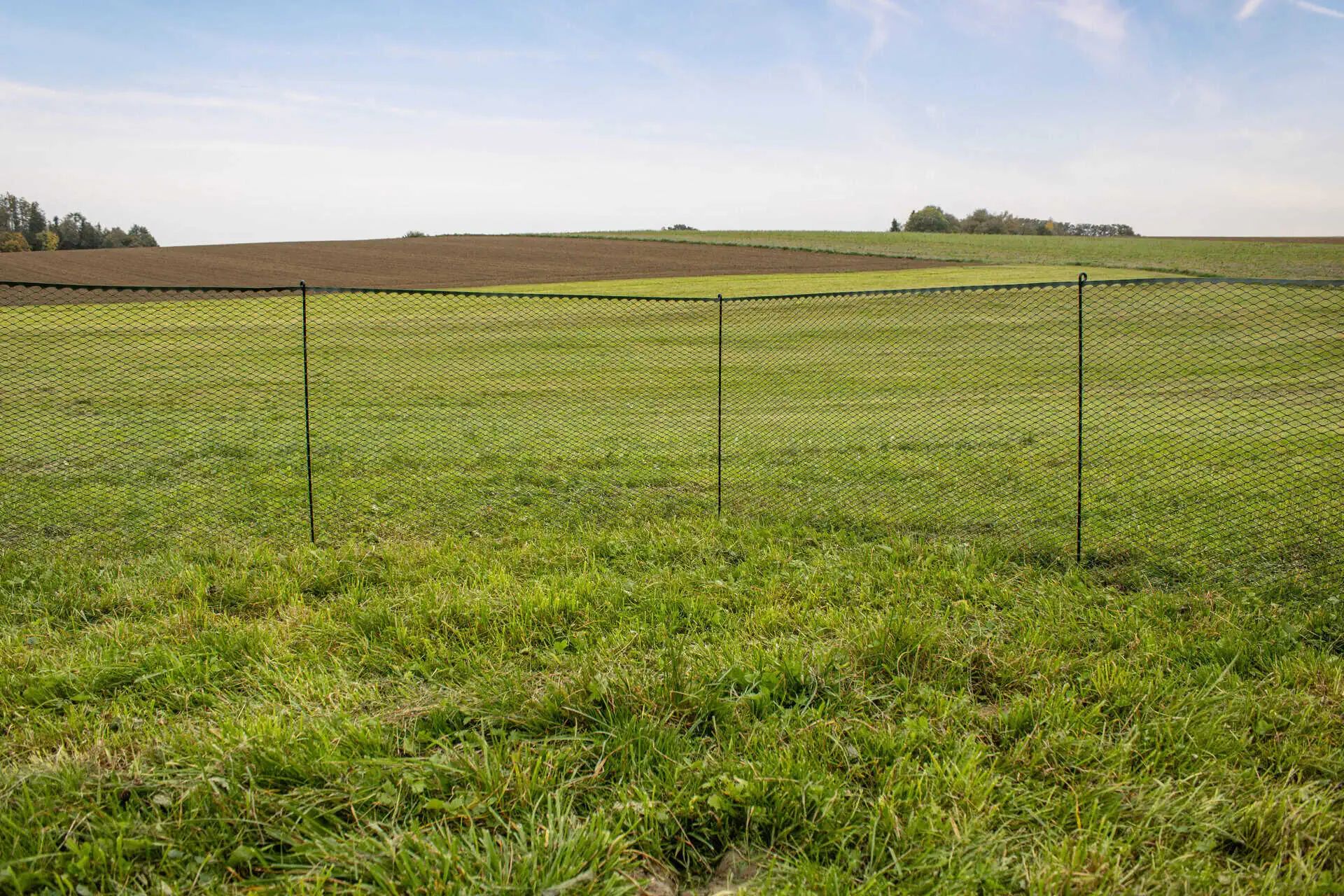 Kerbl Fjäderfänät MultiFence 90 cm x 12 m, mobilt stängsel med jordankare, användningsexempel, på hagen