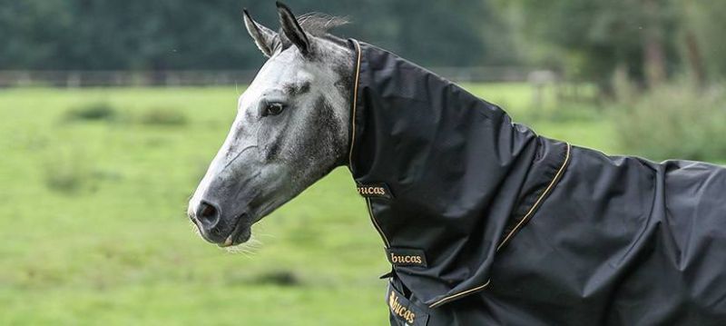 Bucas Copricollo per cavalli