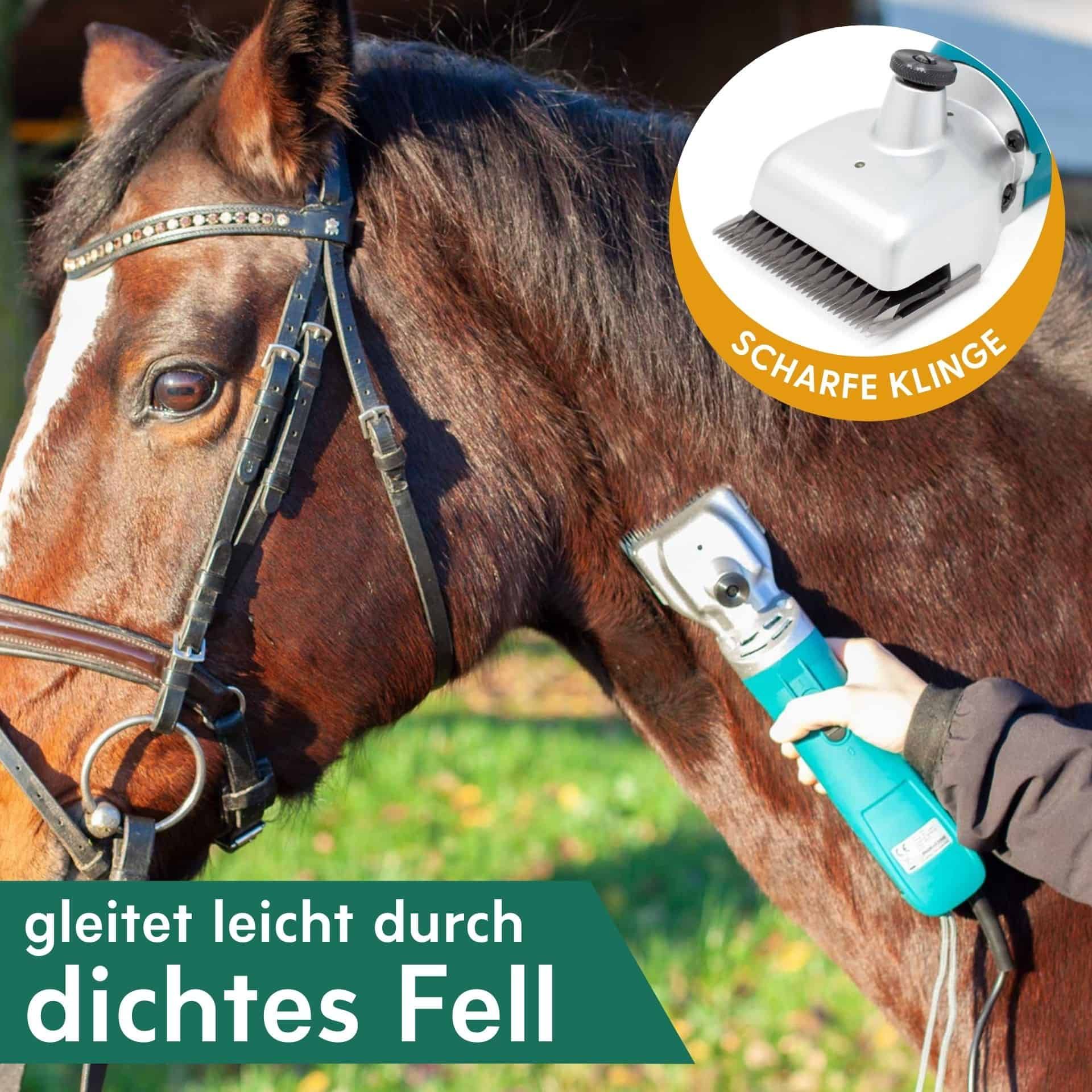 Tondeuse pour chevaux Agrarzone PowerCut 230 V, en utilisation