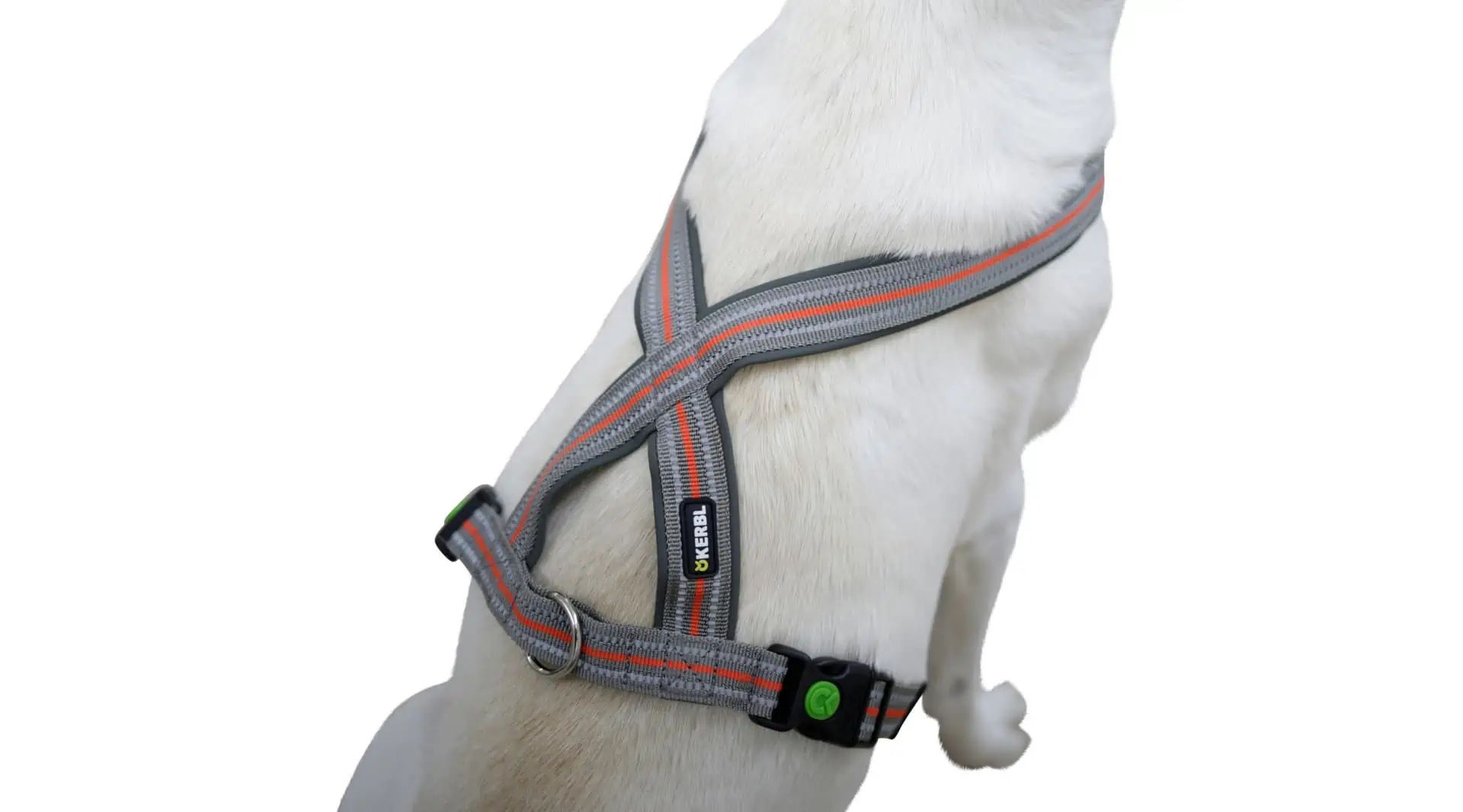 Kerbl Pet Harness Xenos Reflective, Adjustable Dog Harness, in use