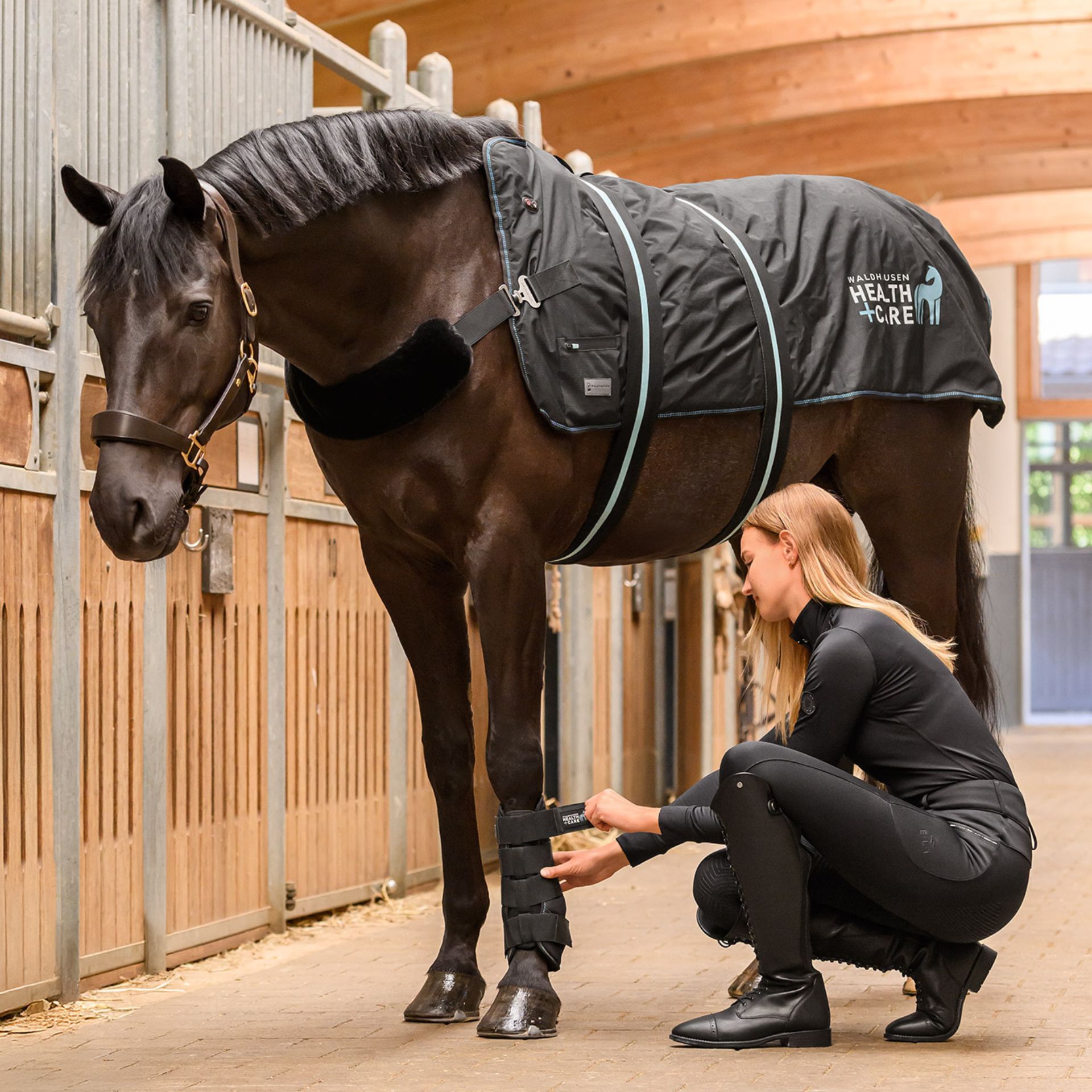 horse, horse blanket, stable, horse care, leg wrap