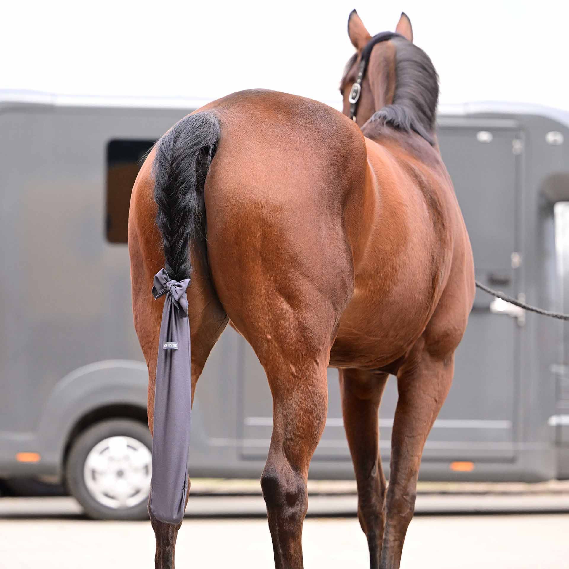 Protège-queue BUSSE CLEAN, housse douce pour la queue du cheval, en utilisation