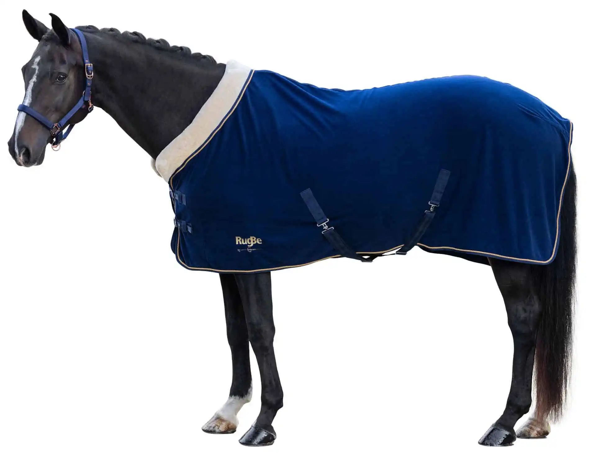 Covalliero Fleecedecke RugBe Royal, Abschwitzdecke mit Teddyfleece-Kragen, im Einsatz