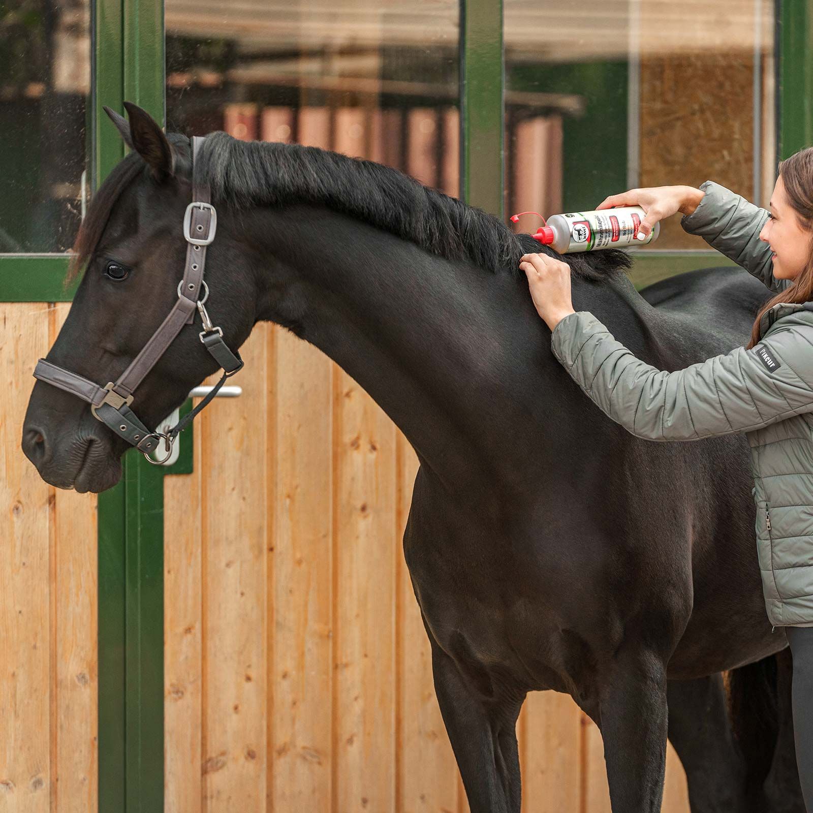 Leovet Mane Liquid Anti-Dandruff Treatment for Horses, 500 ml, in use, in the stable