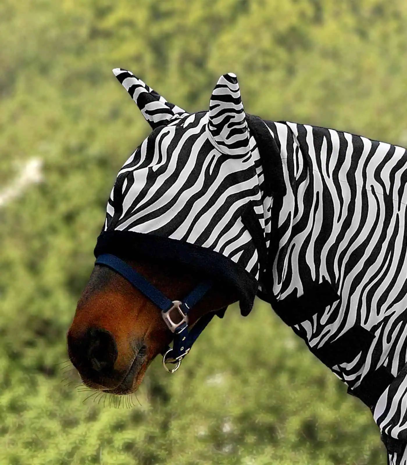 Masque anti-mouches Waldhausen Zebra, protection efficace contre les insectes