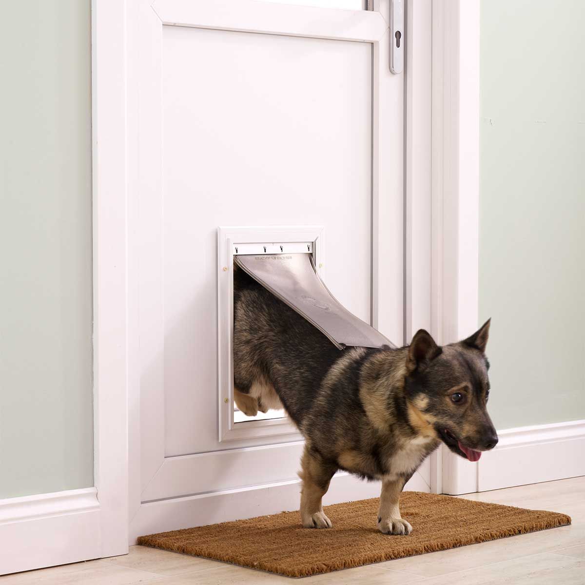 PetSafe Staywell Hundeklappe 620 Aluminium, für Hunde bis 18 kg, im Einsatz