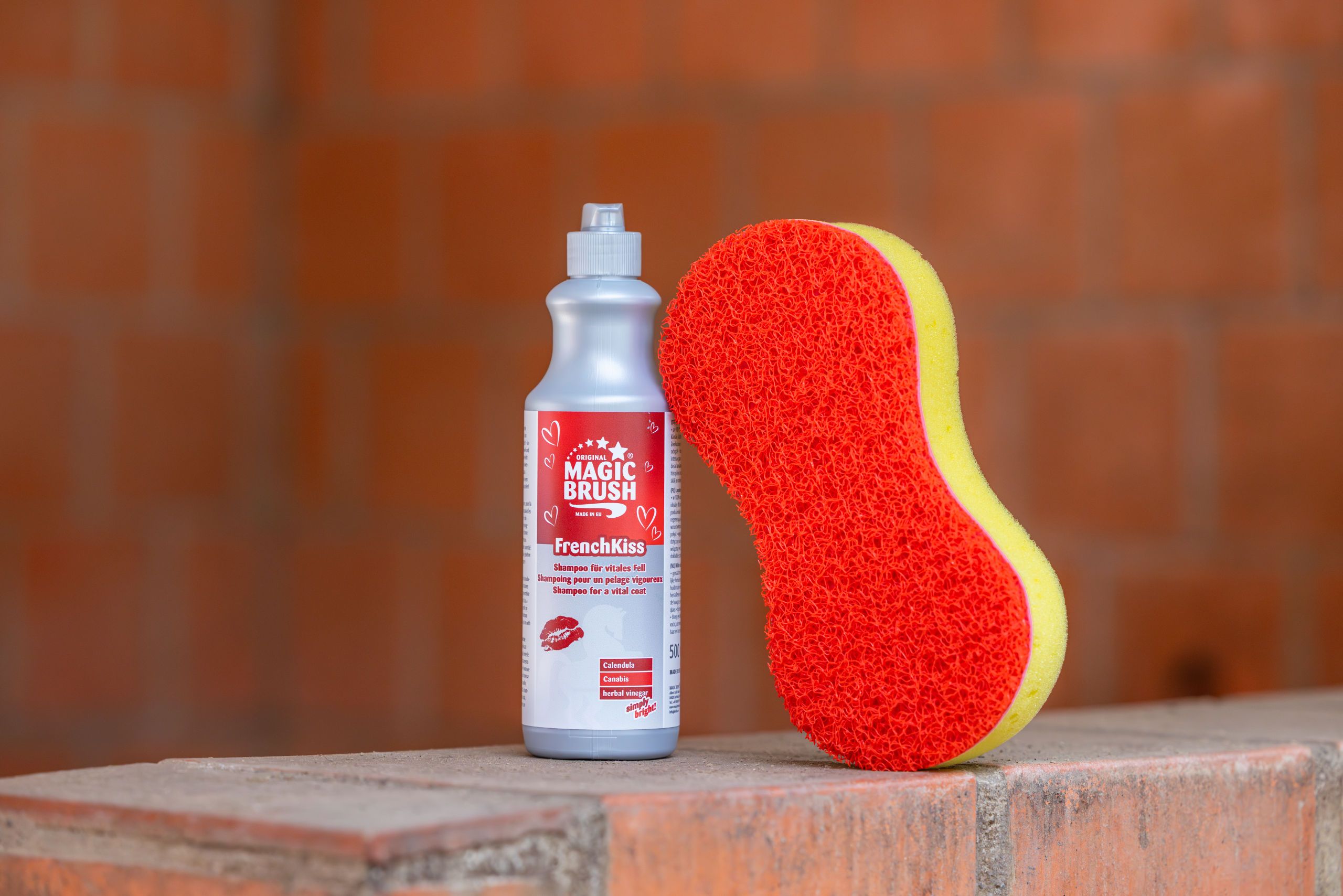 car cleaning, shampoo, sponge, red sponge, bottle