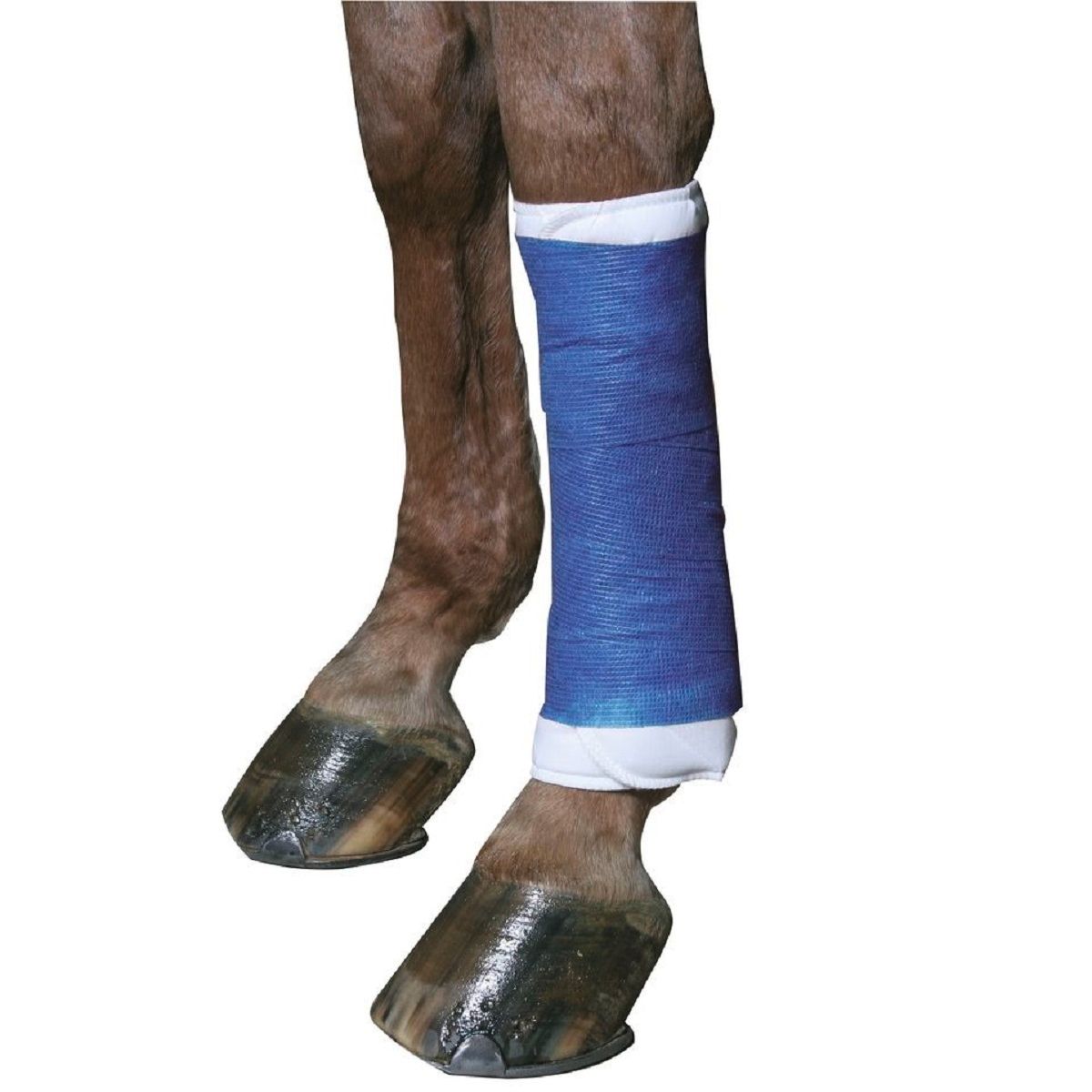 Kerbl Selbsthaftende Bandage EquiLastic Pferd 10 cm, im Einsatz, Bein