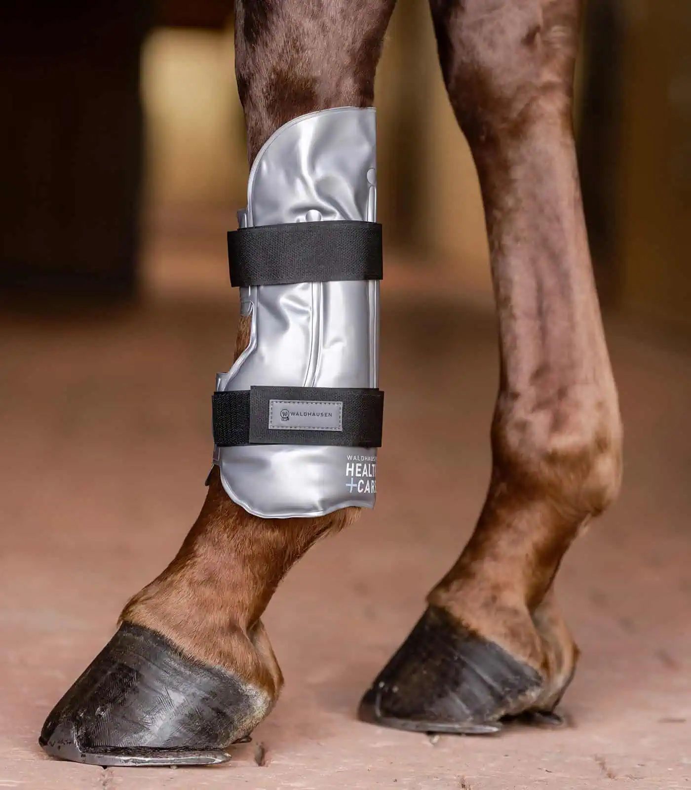 Waldhausen Health + Care Hot + Cold Gamasche Pferd, Kühl- & Wärmegamasche, im Einsatz