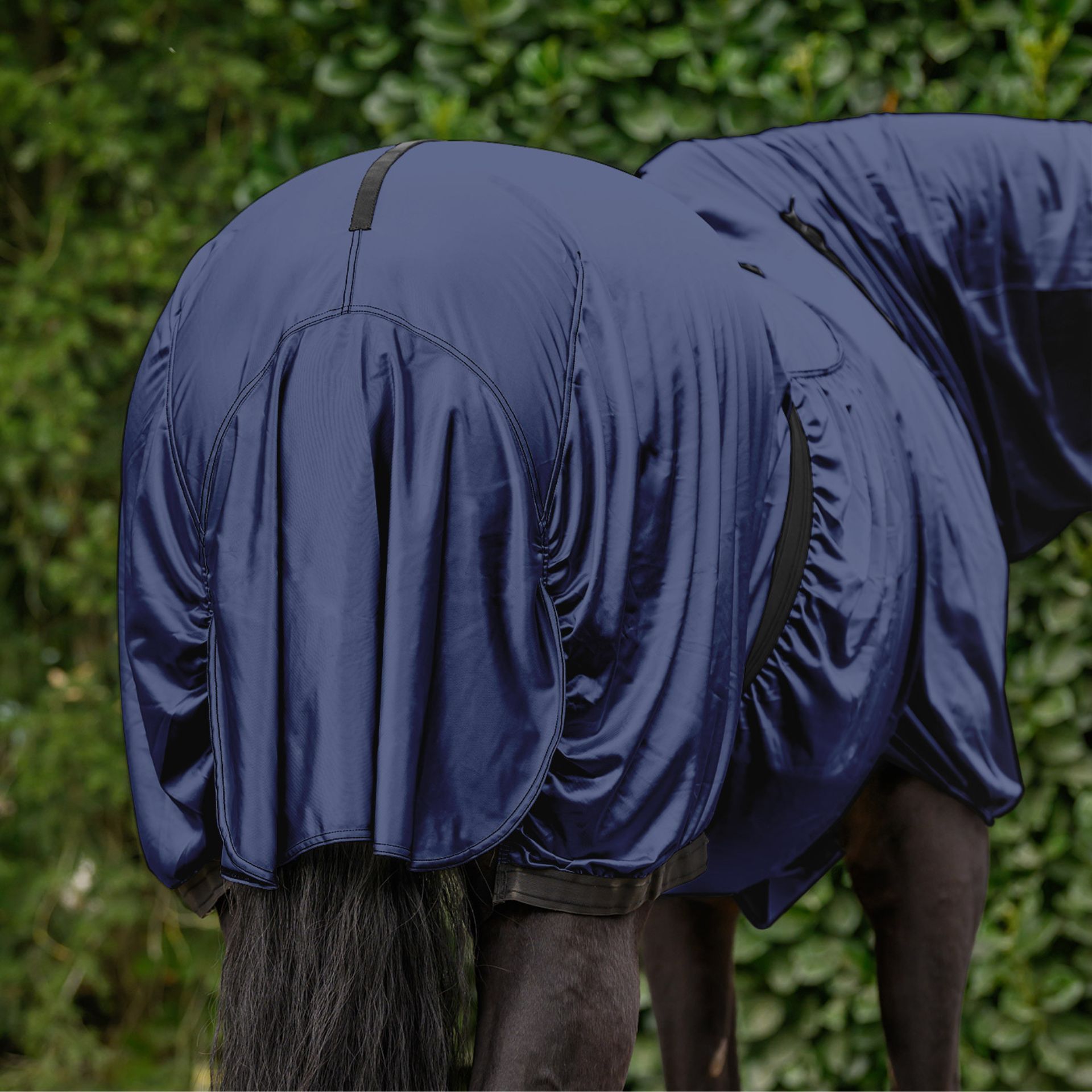 blanket, horse, horse blanket, navy blue, turnout rug