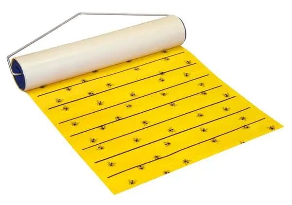 Kerbl Fliegenrolle mit Lockstoff FlyMaster JumboXL, 10 m x 40 cm, loses Produkt